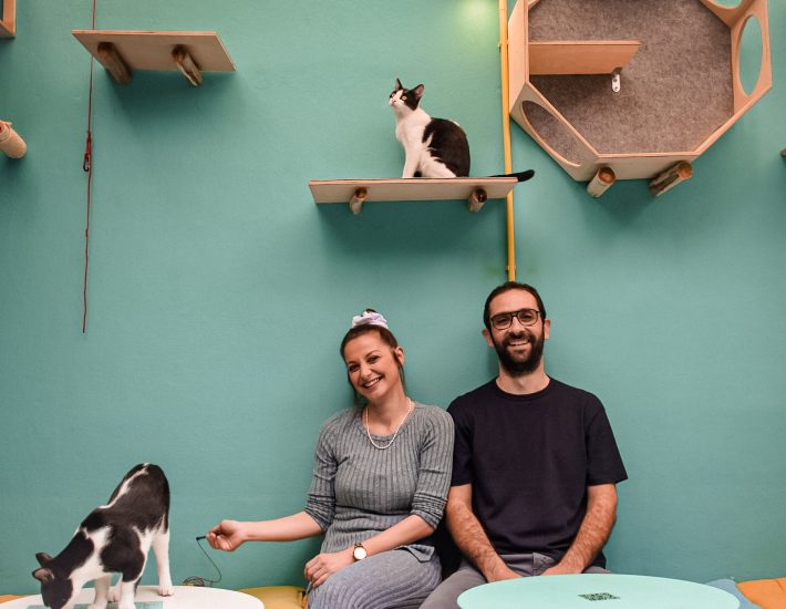 Επισκεφθήκαμε το πρώτο Cat Café της Αθήνας