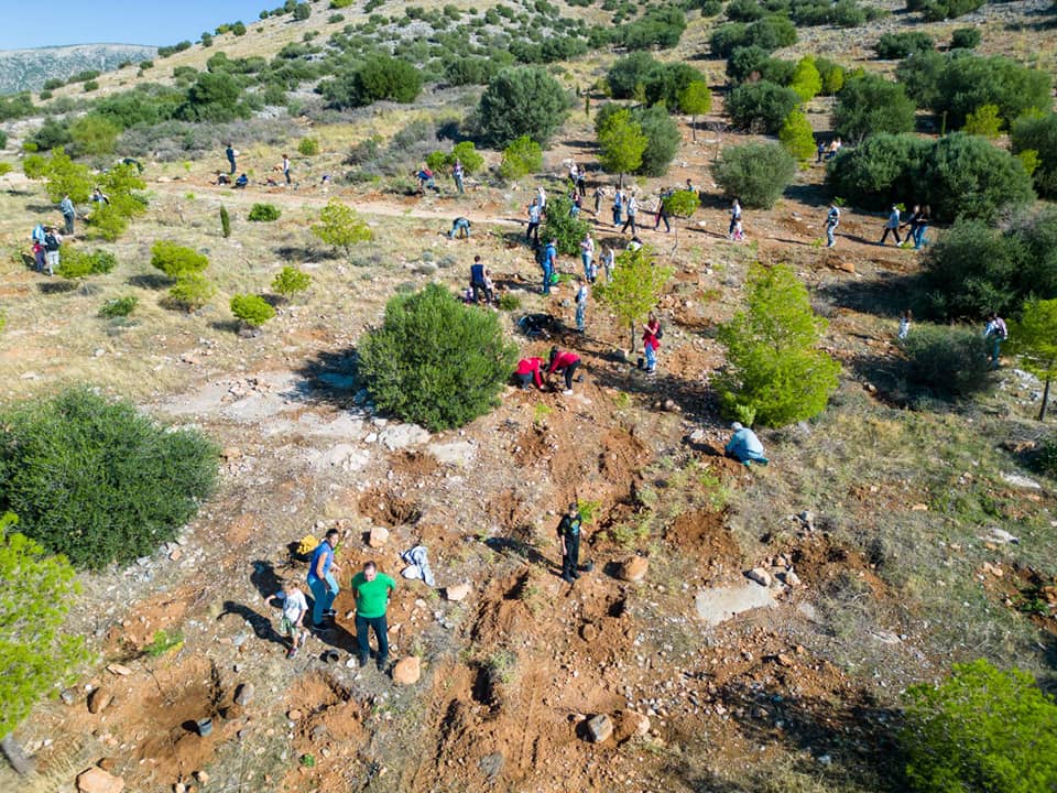 Δήμος Γλυφάδας: 1.000 νέα δέντρα φυτεύθηκαν στον Υμηττό – Στόχος να έχουν φυτευθεί 10.000 ως το τέλος του μήνα