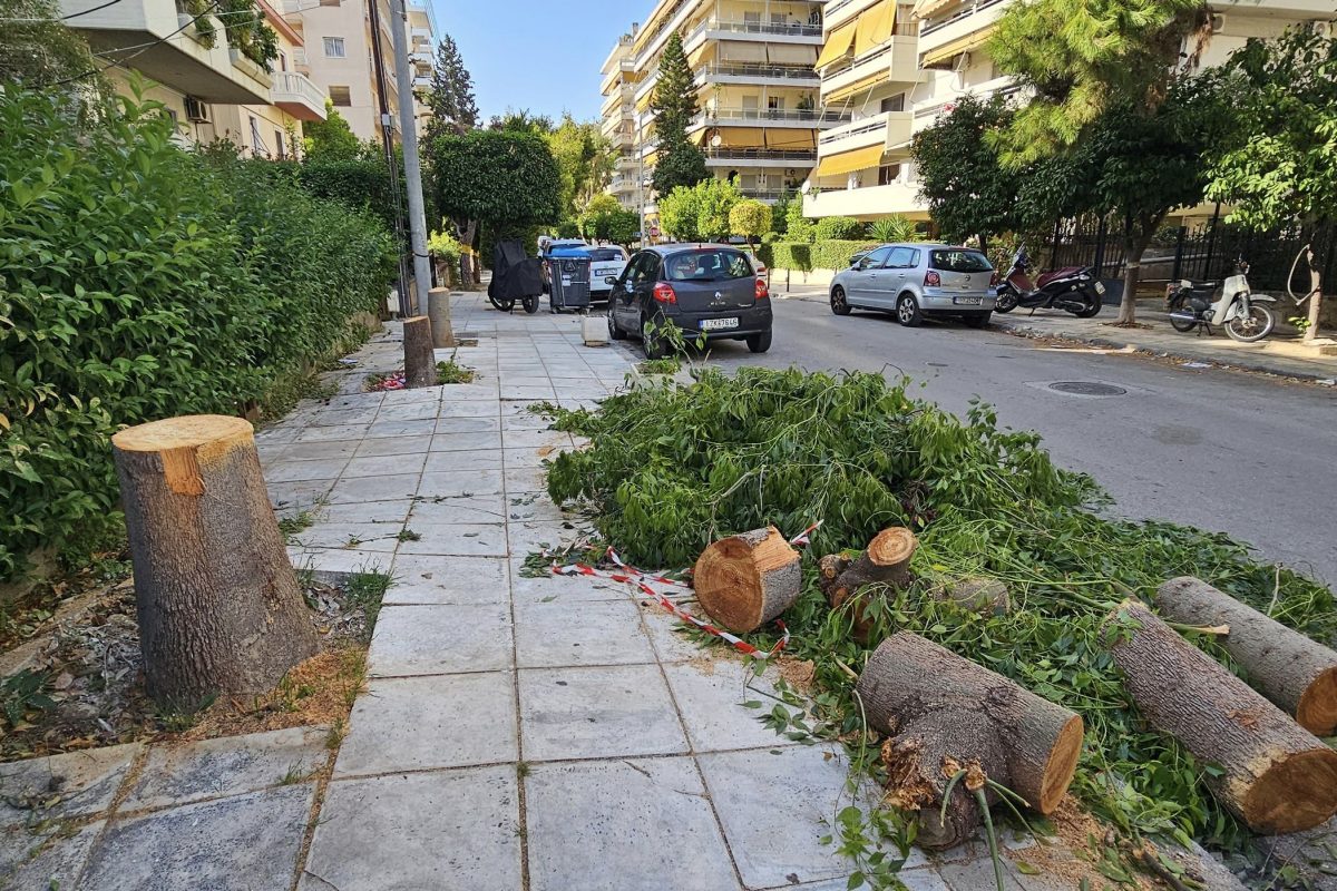 Παλαιό Φάληρο: Γιατί κόπηκαν τα δέντρα στην οδό Τρίτωνος