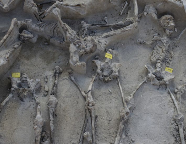 Οι Δεσμώτες του Παλαιού Φαλήρου