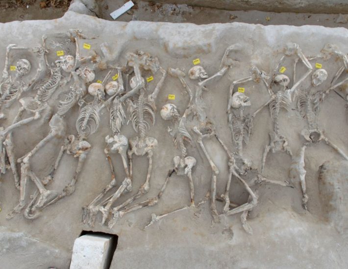 «Δεσμώτες Φαλήρου»: Αναμένουν την τοποθέτηση στο μόνιμο σπίτι τους