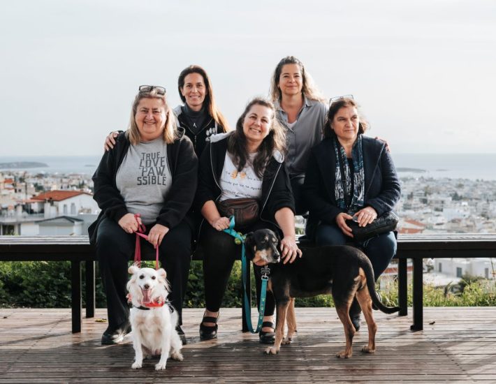 Γνωρίσαμε τους ανθρώπους του ΣΠΑΖ, που κάνουν τα πάντα για τα αδέσποτα