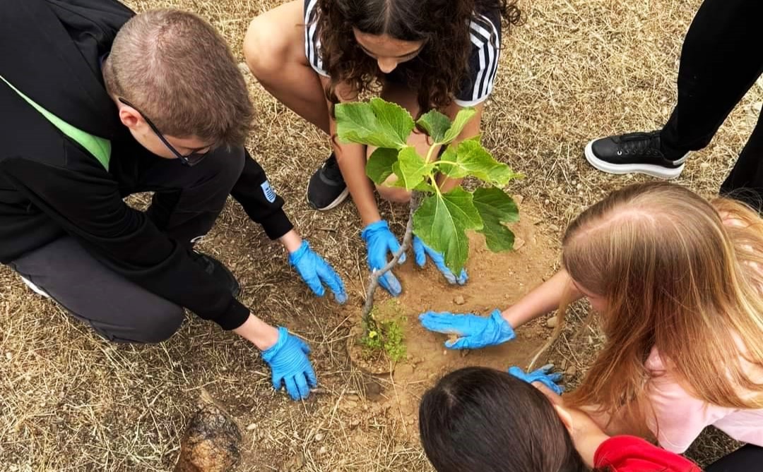 Άλιμος: Εθελοντική δεντροφύτευση και καθαρισμός