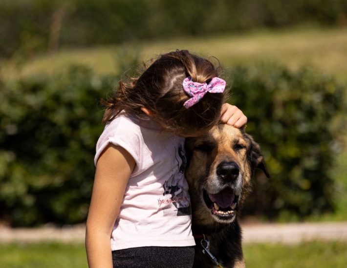 ΣΠΑΖ: Δύο νέα ραντεβού υιοθεσίας σκύλου στη Γλυφάδα