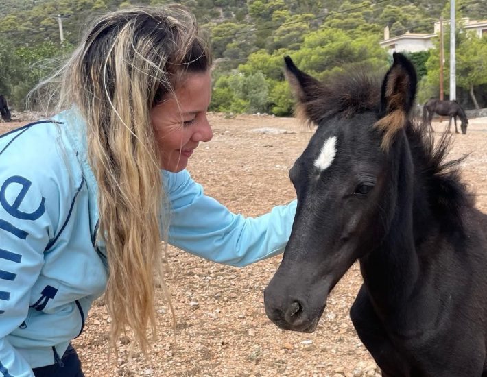 Help Horses Ymittos: Ένας χρόνος προσπάθειας για τη διάσωση των αλόγων του Υμηττού