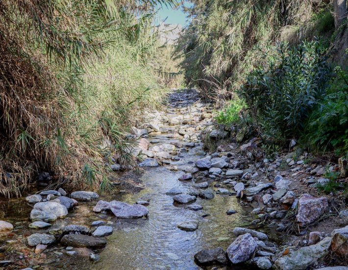 Πικροδάφνη: Η τελευταία ανάσα της Νότιας Αττικής