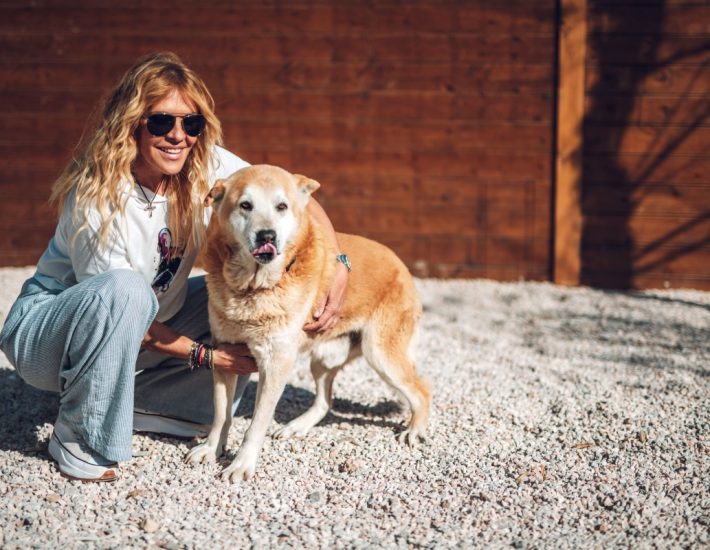 Μια καλή αρχή για τα αδέσποτα ζώα: Το –σπάνιο– παράδειγμα της Γλυφάδας