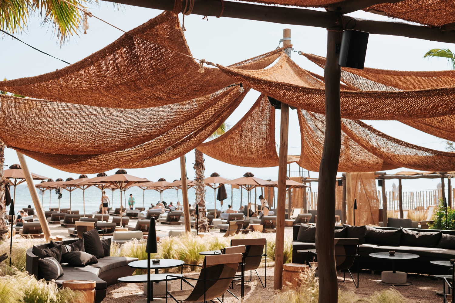 Live The C Beach Restaurant Www live-the-c-beach-restaurant-www