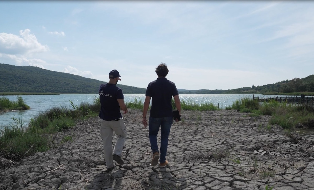 Νέα πρωτοβουλία από τη Nestlé Ελλάς και την Εναλεία για την προστασία του θαλάσσιου περιβάλλοντος