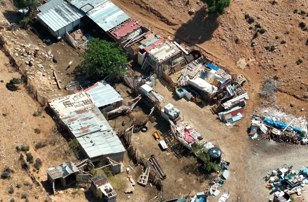 Σοκαριστικές εικόνες από το βουνό της Γλυφάδας – Ρεπορτάζ αποκαλύπτει κακοποίηση ζώων και εγκατάλειψη