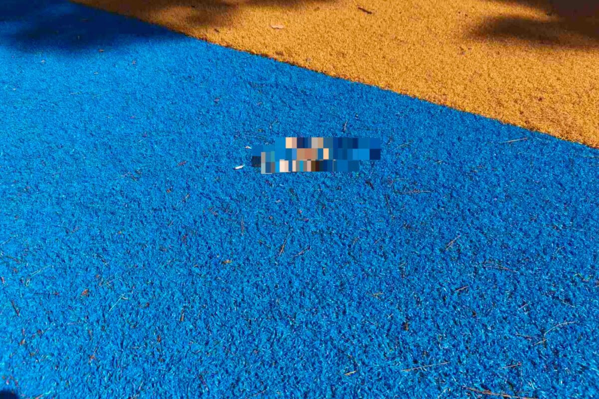 Φρίκη στον δήμο Ελληνικού – Αργυρούπολης: Άγνωστοι διαμέλισαν γάτες και σκόρπισαν τα μέλη τους σε πάρκα και πλατείες