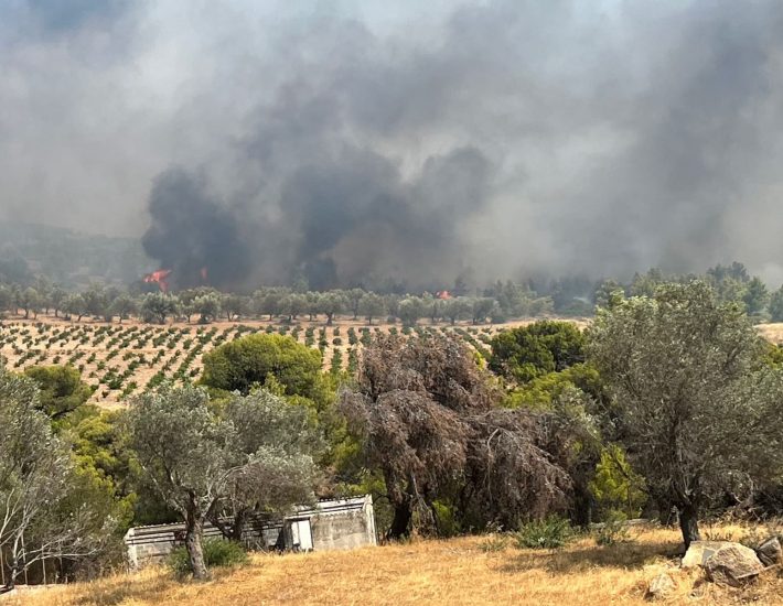 Μεγάλη φωτιά στην Κερατέα – Τουλάχιστον 10 απεγκλωβισμοί – Εντοπίστηκε νεκρός ένας ηλικιωμένος