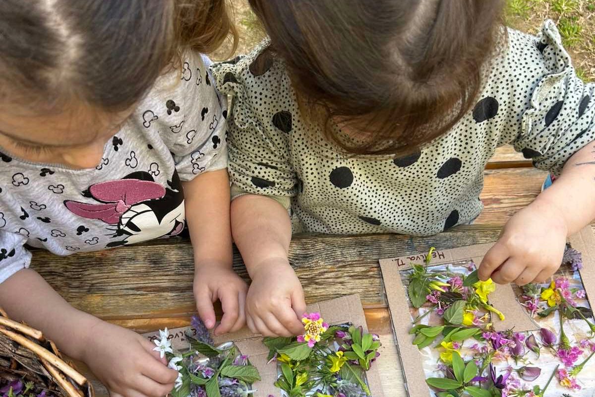 Homie School: Η Μέθοδος Project και η παιδαγωγική του δάσους
