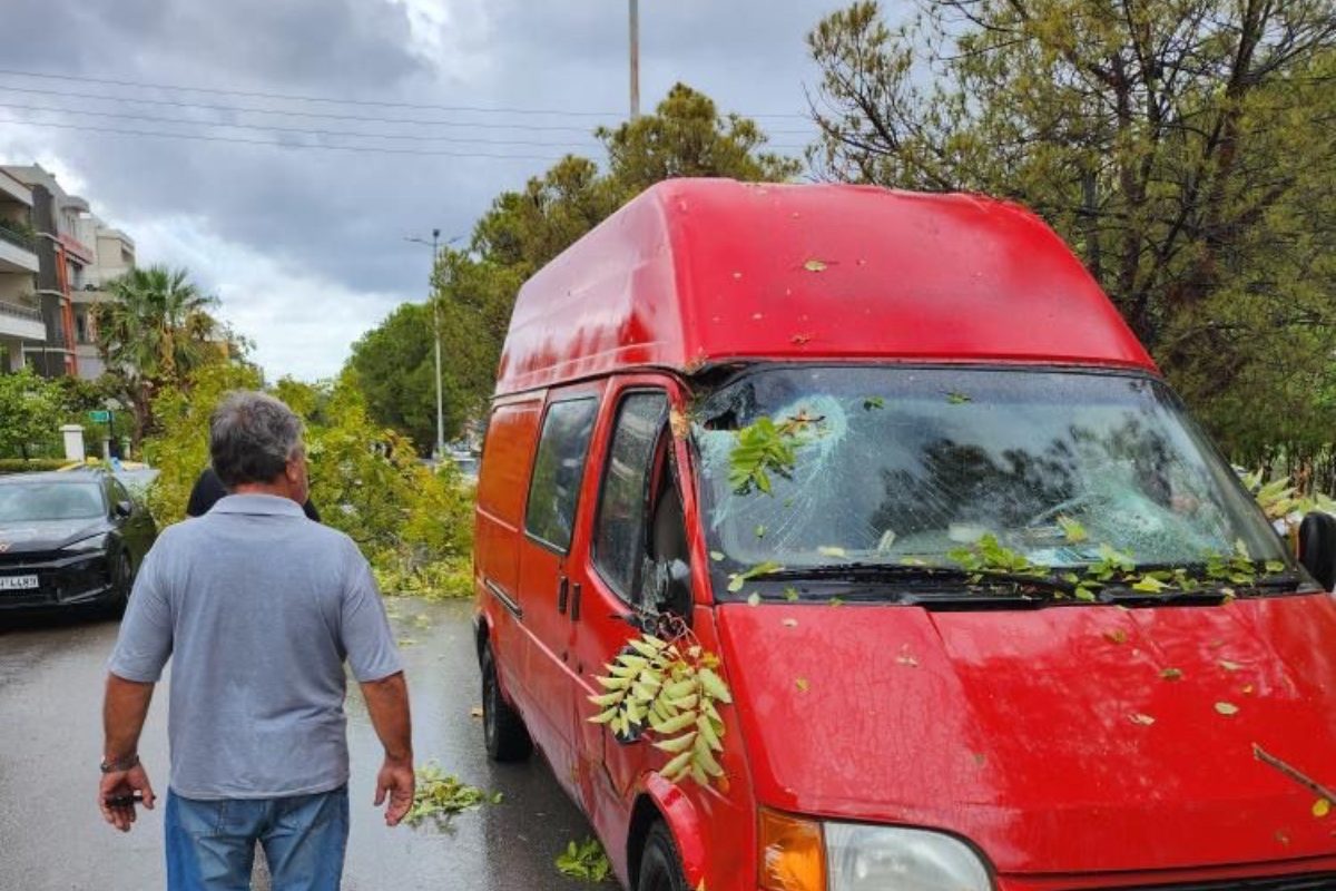 Γλυφάδα: Δέντρο έσπασε και έπεσε σε διερχόμενο όχημα