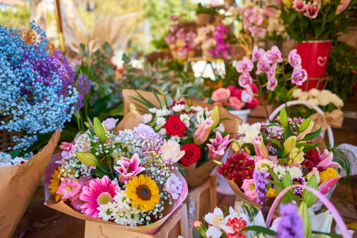 Ηλιούπολη: Η Έκθεση Λουλουδιών επιστρέφει στην κεντρική πλατεία από 17 Οκτωβρίου
