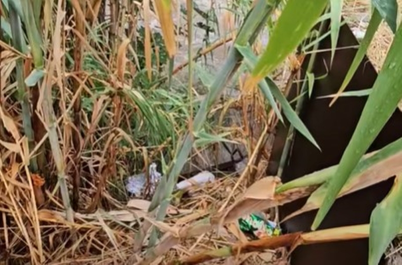 Καταγγελία του δημάρχου Αλίμου για λύματα στο ρέμα Πικροδάφνης