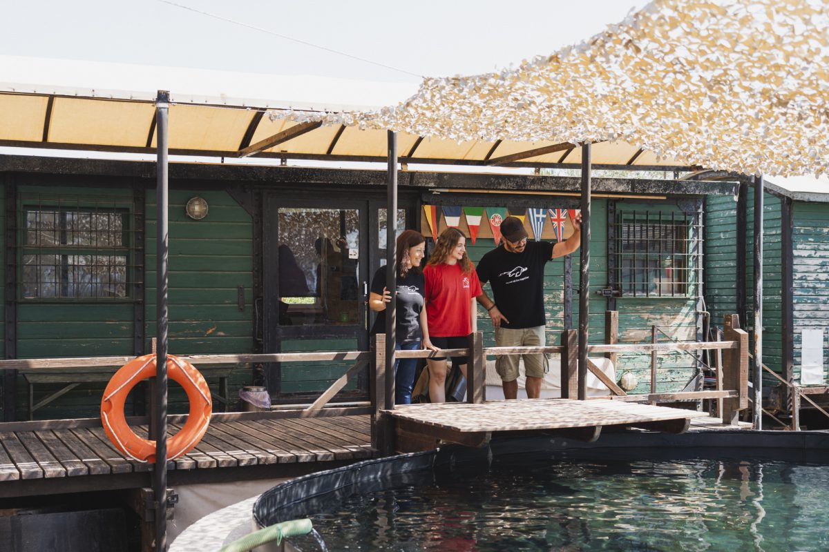 Fun and educational activities to do with your kids in the Southern Suburbs of Athens