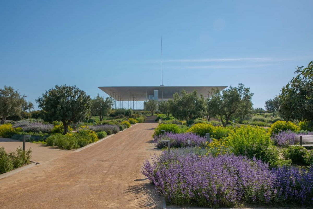 Where to eat after your walk at the SNFCC: The best spots for seafood and meat nearby