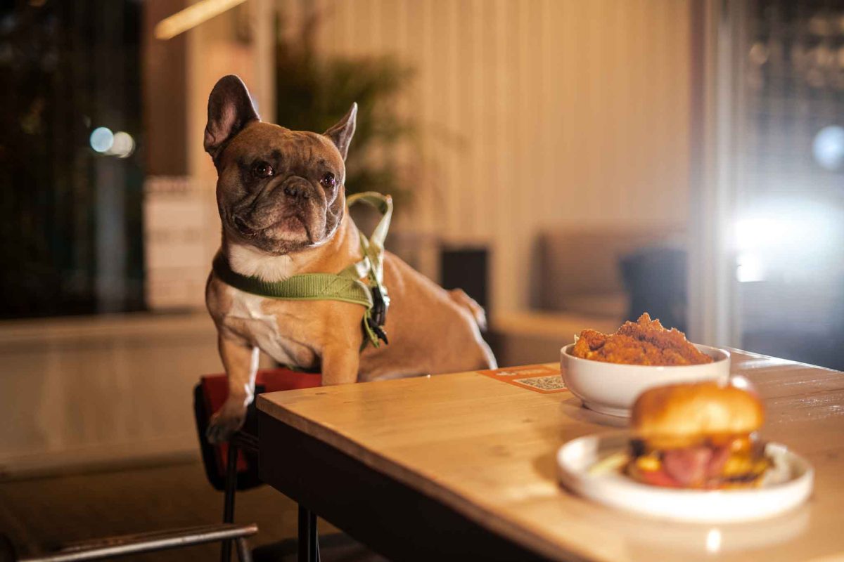 Στη Νέα Σμύρνη, το The Dog Street Kitchen κάνει τα smash burgers να μιλούν τη γλώσσα της γειτονιάς