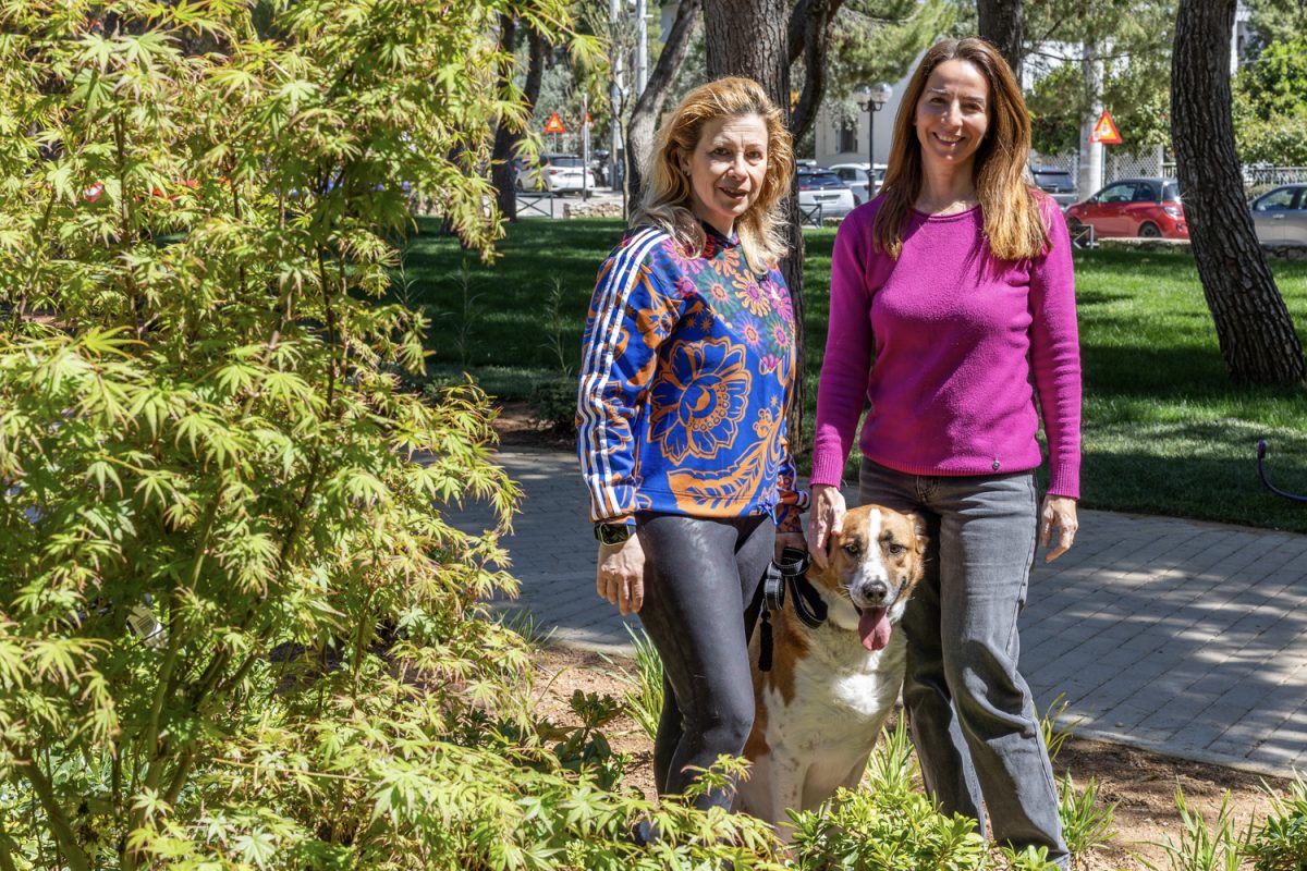 «Ένα αδέσποτο ζώο σώζεται μόνο όταν βρει το παντοτινό του σπίτι»