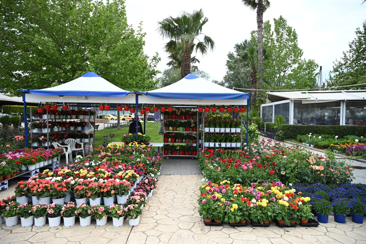 Επισκεφθήκαμε την 35η Ανθοκομική Έκθεση στο Πλακόστρωτο της Βάρκιζας
