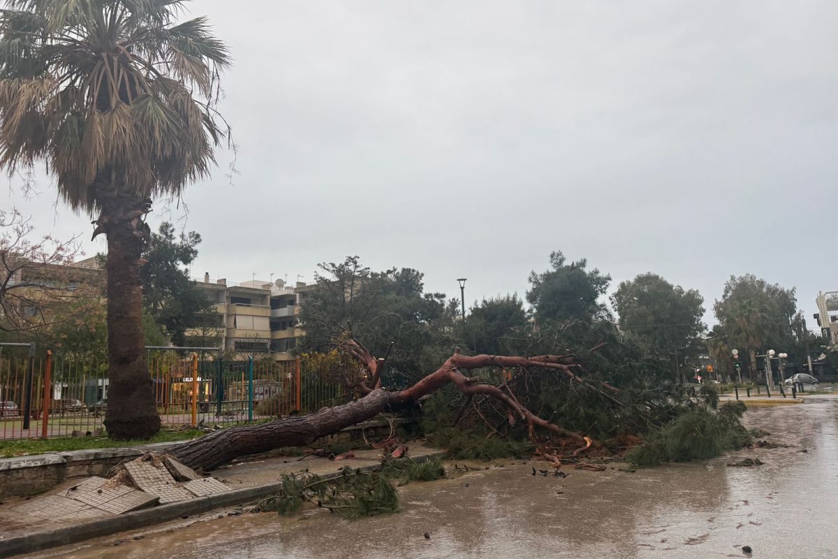 Κακοκαιρία Erminio: Νύχτα έντασης με πτώσεις δέντρων και διακοπές ρεύματος σε πολλές περιοχές των νοτίων