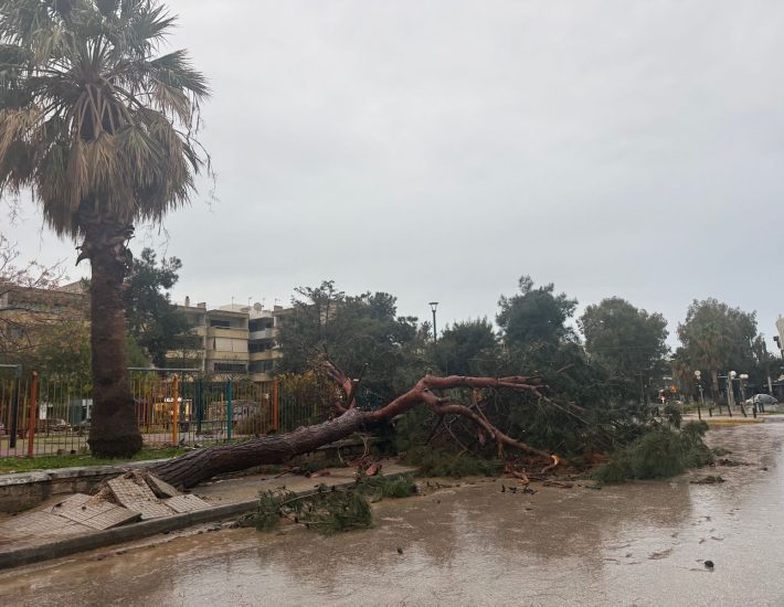 Κακοκαιρία Erminio: Νύχτα έντασης με πτώσεις δέντρων και διακοπές ρεύματος σε πολλές περιοχές των νοτίων