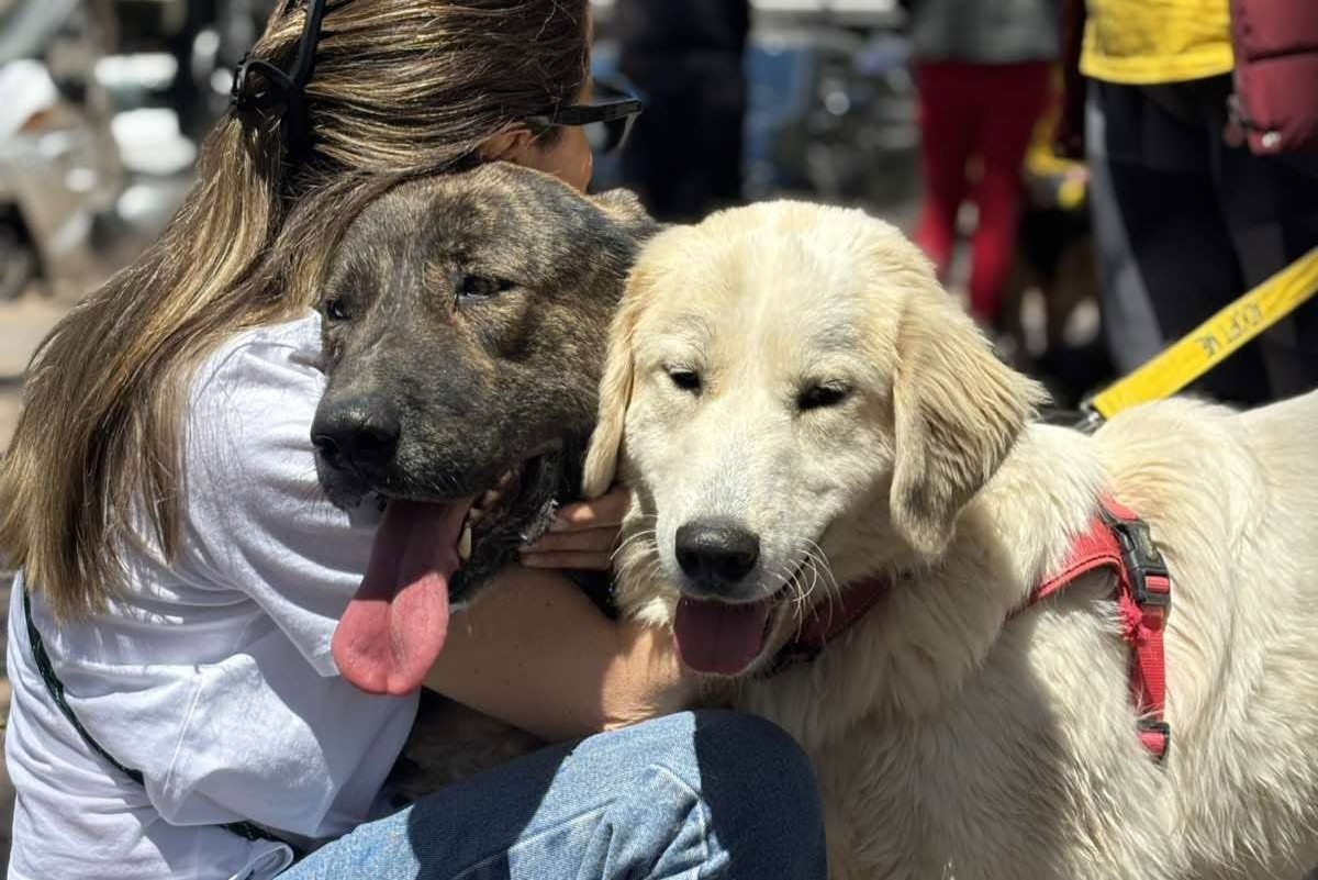 Ημέρα υιοθεσίας αδέσποτων στη Γλυφάδα από τον ΣΠΑΖ το Σάββατο 20 Ιουνίου