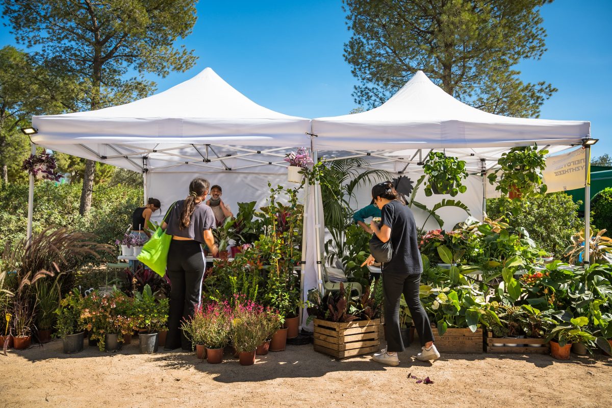 Green Weekend 2026 στο ΚΠΙΣΝ: Συναυλίες, εκθέσεις, ομιλίες και όλες οι δράσεις του διημέρου