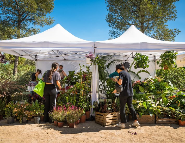 Green Weekend 2026 στο ΚΠΙΣΝ: Συναυλίες, εκθέσεις, ομιλίες και όλες οι δράσεις του διημέρου