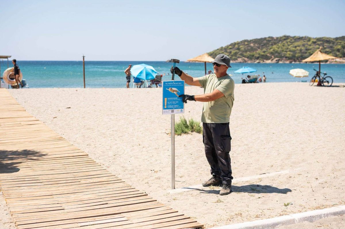 Σαρωνικός: Προειδοποιητική σήμανση σε παραλίες μετά από περιστατικά με θαλάσσιες χελώνες