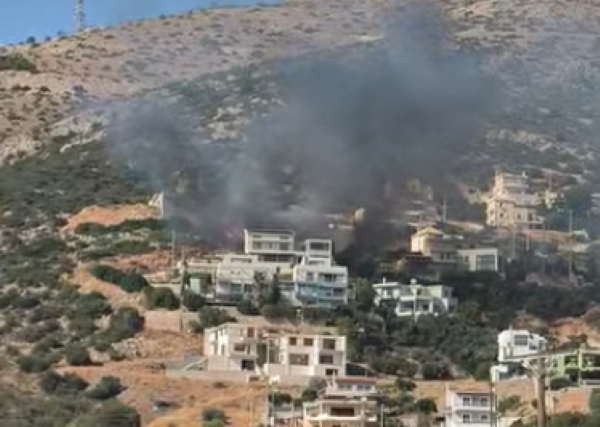 Φωτιά στην Ανάβυσσο: Κινητοποίηση επίγειων και εναέριων δυνάμεων