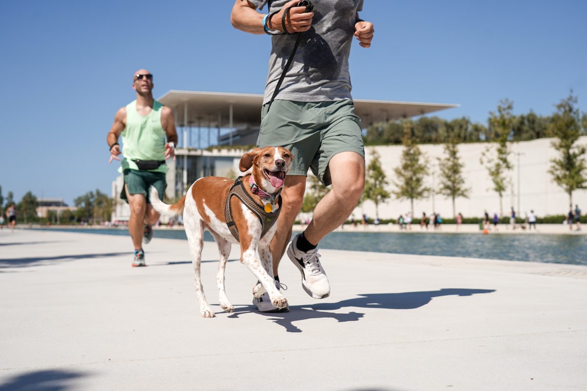 Παγκόσμια Ημέρα των Ζώων στο ΚΠΙΣΝ: Penny Marathon, Open Agora και εικαστικές δράσεις την Κυριακή 4 Οκτωβρίου